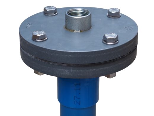 Brunnenkopf 2 Zoll mit 1 Zoll Edelstahl Muffe