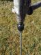 SDS Adapter Erdbohrer Bohrmaschine Zahnkranz Bohrfutter 13mm