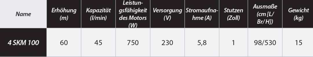 Tiefbrunnenpumpe 4 SKM 100 Brunnenpumpe 6,1bar - 2600l skm100